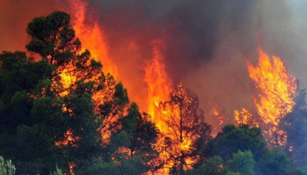 Vatrogasci s kopna i iz zraka gase požare na Rodosu
