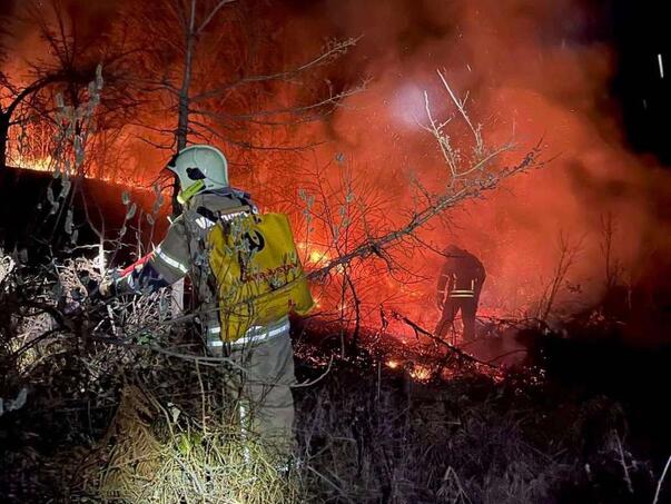 Vatrogasci satima gasili požar u selu kod Prijedora, vatra ugrozila i kuće