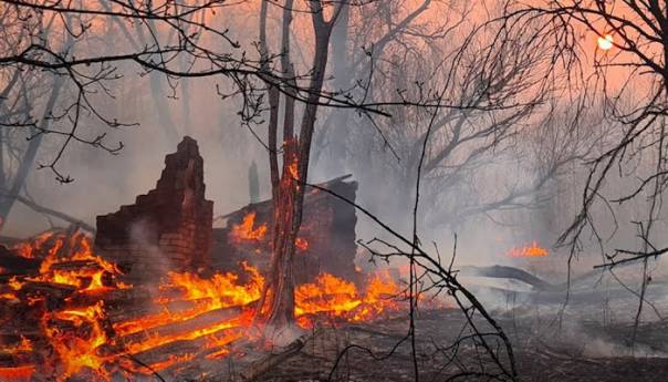 Vatrogasci se bore sa velikim požarom u blizini nuklearne elektrane u Černobilu