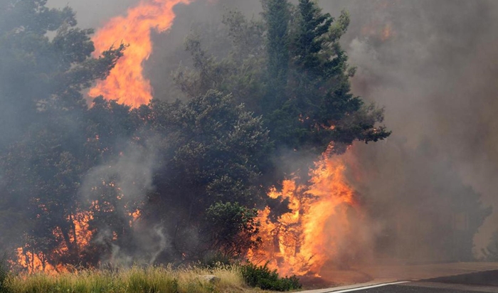 Vatrogasci se cijelu noć borili protiv požara