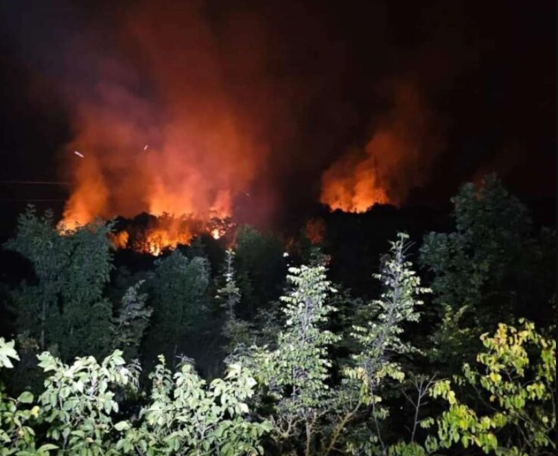 Vatrogasci se još bore sa požarom kod Stoca