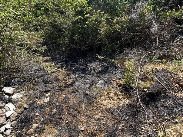 Vatrogasci u HNK imaju pune ruke posla, i dalje gori u kanjonu Rakitnice i na Rujištu