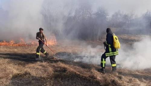 Vatrogasci ugasili požar koji je ugrozio azil s 40-ak napuštenih pasa
