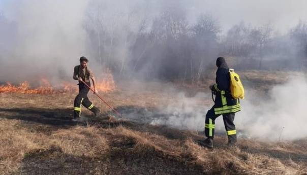 Vatrogasci ugasili požar koji je ugrozio azil s 40-ak napuštenih pasa