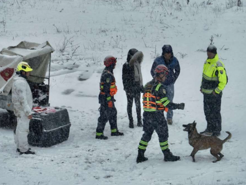 VD Vogošća predstavilo tri međunarodno licencirana potražna psa