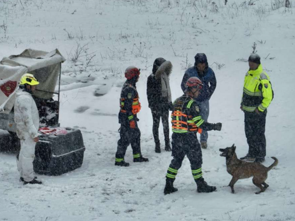 VD Vogošća predstavilo tri međunarodno licencirana potražna psa