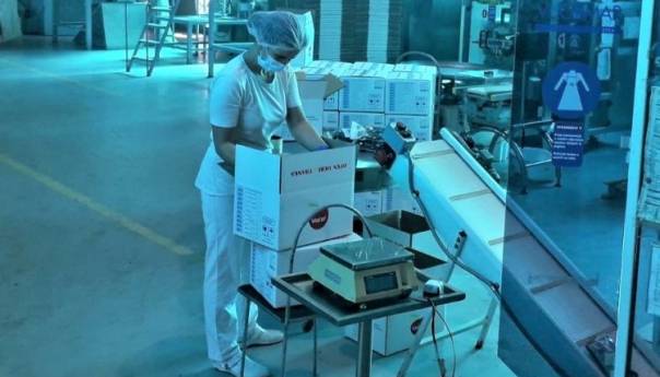 Veći otkup šljiva iz sjeveroistočne BiH i veći izvoz