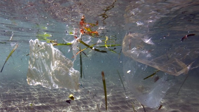 Većina plastike u morima pluta blizu obale
