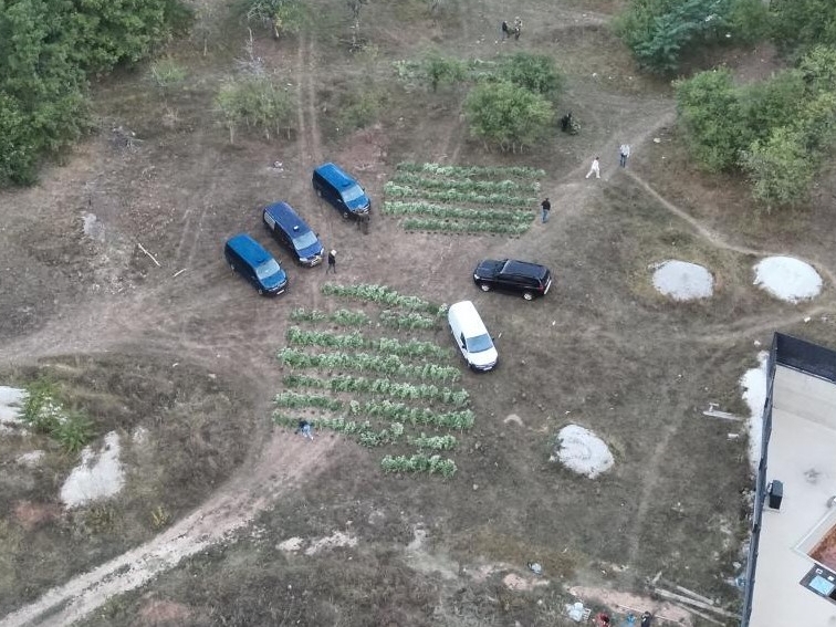 Velika akcija "Pantera": Policija pronašla 400 stabljika, 25 kilograma droge i 70.000 KM