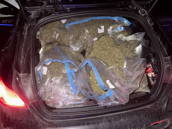 U akciji "Brazil" zaplijenjeno oko 50 kilograma skanka, više uhapšenih