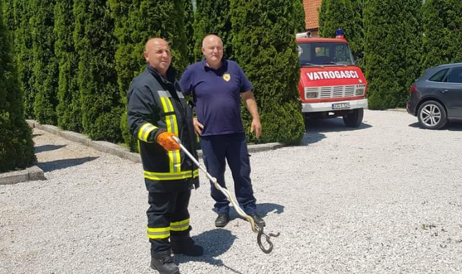 Velika zmija ušla u porodičnu kuću u Travniku