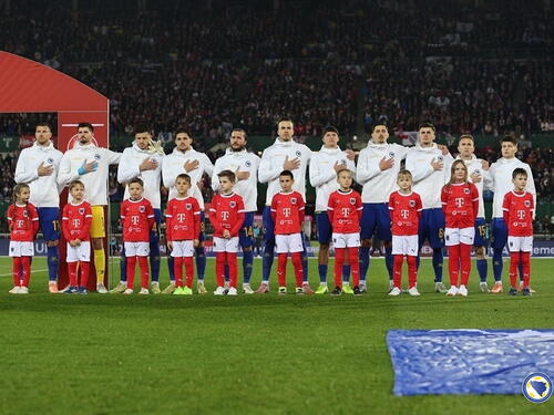 Veliki interes navijača: Evo kako do karte za Vels - BiH