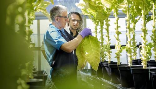 Veliki napredak na putu ka budućnosti bez duhanskog dima