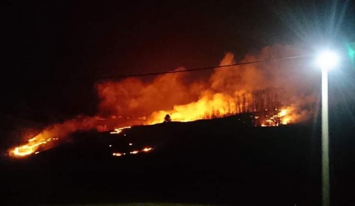 Veliki požar kod Krivaje u Cazinu: Vatrena stihija širi se ka kućama