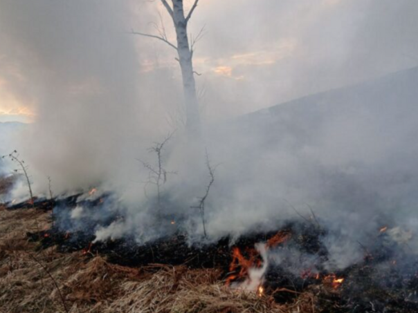 Lokalizovan požar u Trnovu