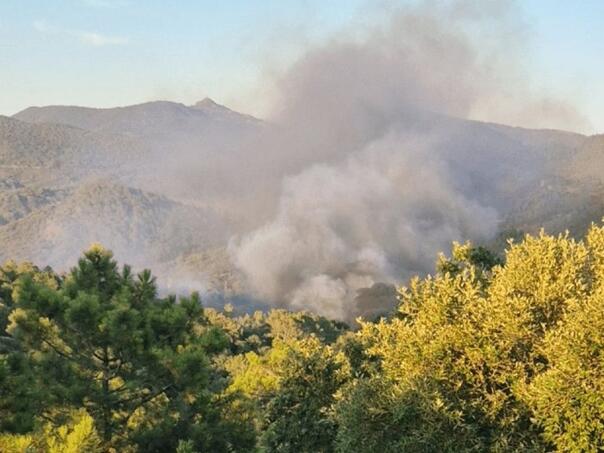 Veliki požar na jugu Francuske prijeti naseljima, stanovnici evakuisani