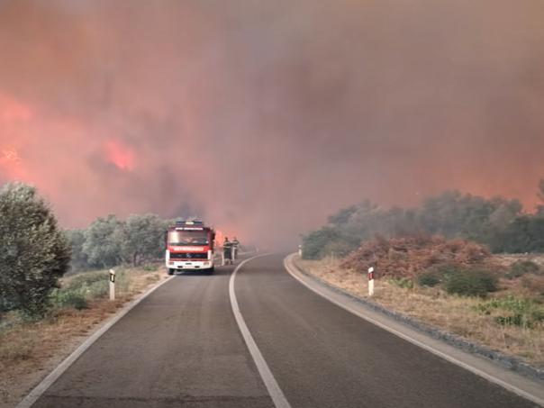 Veliki požar na poznatom hrvatskom ljetovalištu, približava se kućama