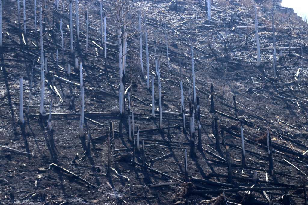 Veliki požar u blizini Nacionalnog parka Yosemite