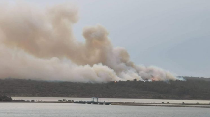 Veliki požar u Istri kod Novigrada, zbog bure i gustog dima zatvorene ceste