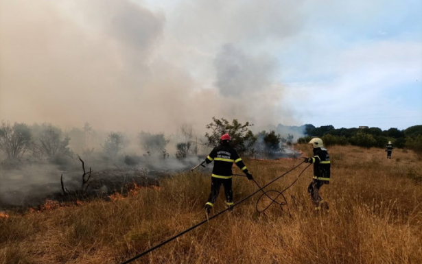 Veliki požar u Puli: Vatrogasci se bore s vatrenom stihijom