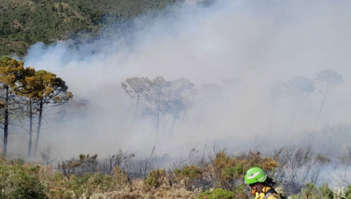 Veliki požar u Španiji, evakuisane hiljade ljudi