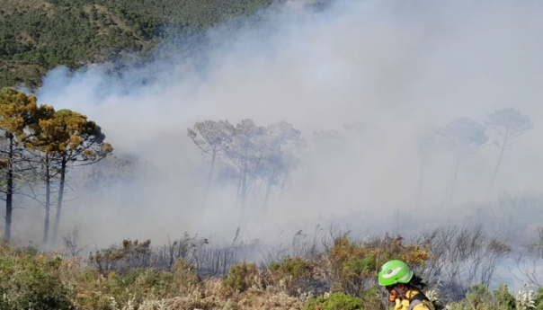 Veliki požar u Španiji, evakuisane hiljade ljudi
