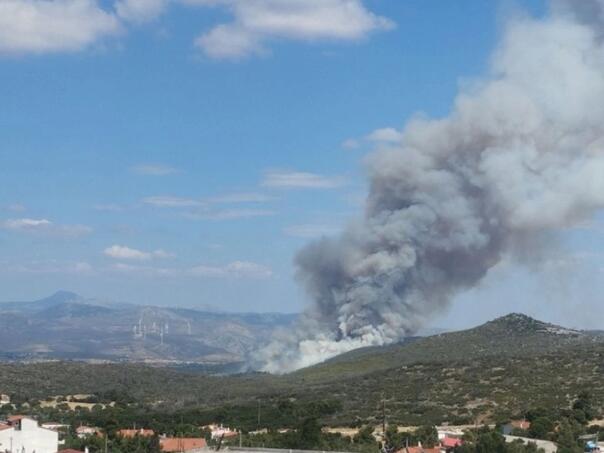 Veliki šumski požar u zapadnoj Atici, Atinjani u pripravnosti