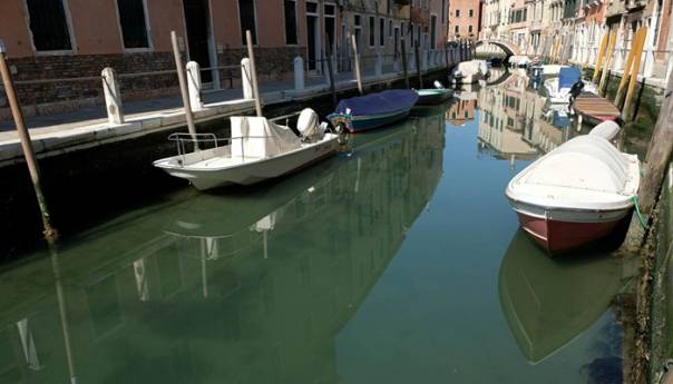Venecijanskim kanalima teče prozirna voda, vide se i ribe