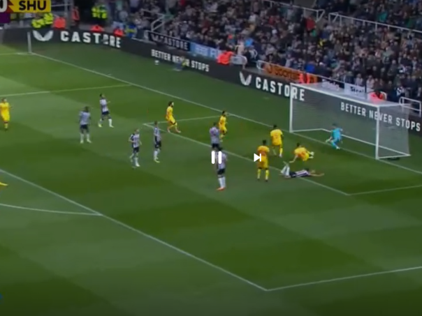 VIDEO: Ahmedhodžić pogodio protiv Newcastlea