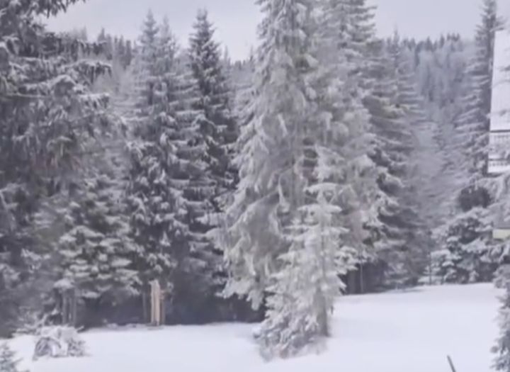 Video: Bh. planina prekrivena snijegom pred kraj aprila