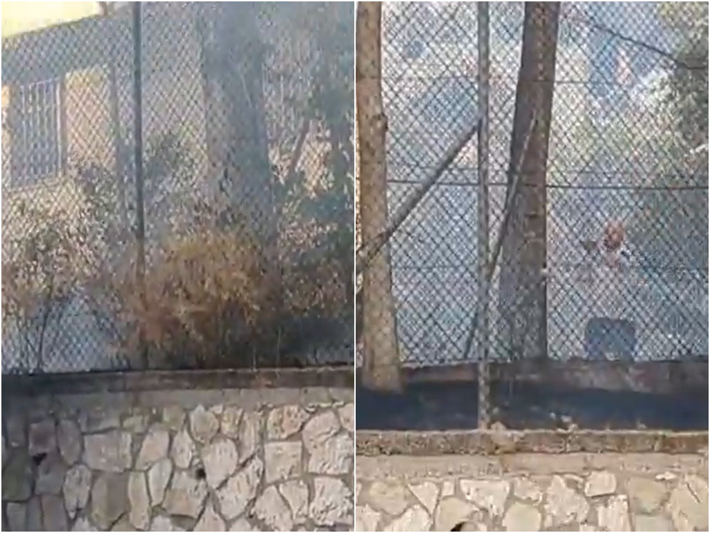 VIDEO: Izraelci zapalili zgradu UN-ove agencije