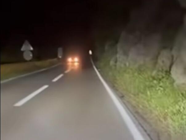 Video: Na cesti kod Trebinja vozač snimio medvjeda