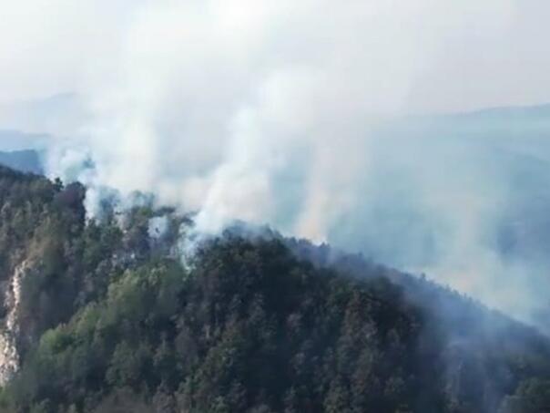 VIDEO / Planuo požar na području Srebrenice, gašenje u toku