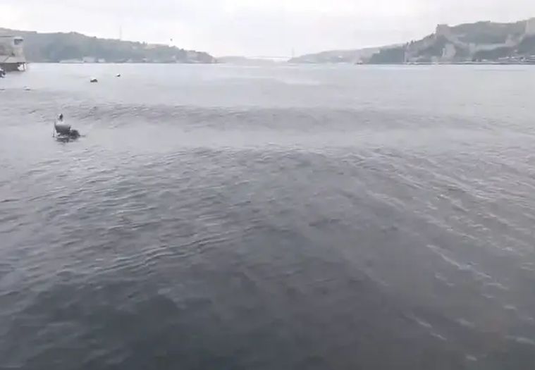 Video: Pogledajte kako je more 'zaplesalo' nakon potresa u Turskoj