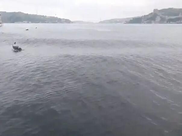 Video: Pogledajte kako je more 'zaplesalo' nakon potresa u Turskoj