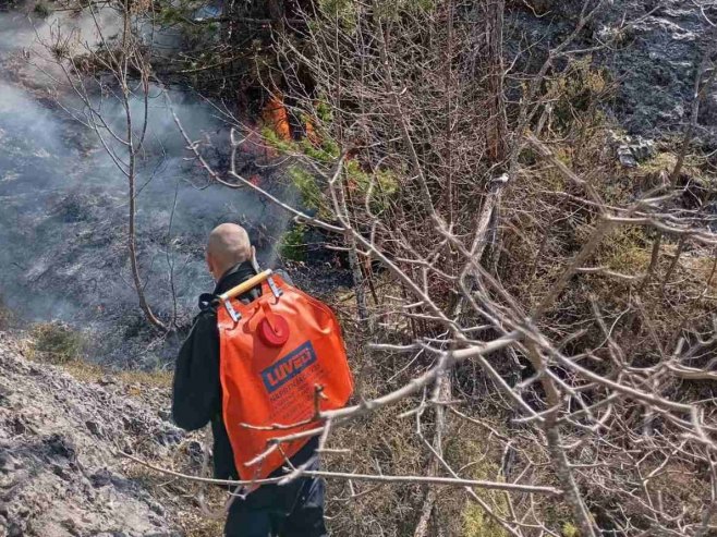 Video: Požar na granici BiH s Crnom Gorom