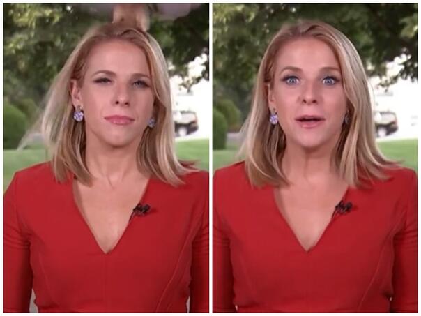 VIDEO / Reporterki na glavu sletjela ptica, umalo opsovala u programu uživo