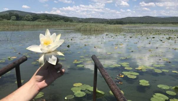 Vidić: Oživjet ćemo Park prirode Hutovo blato na zadovoljstvo svih posjetitelja