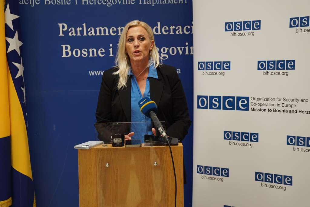 Vidljivi pomaci u donošenju propisa protiv nasilja, potrebna efikasna primjena