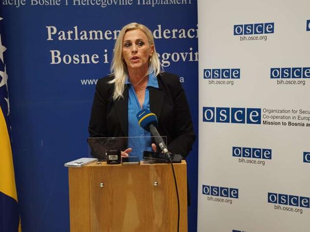 Vidljivi pomaci u donošenju propisa protiv nasilja, potrebna efikasna primjena