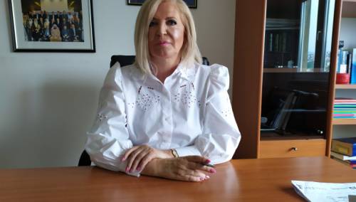 Vidović: Zaslužena kazna Mladiću, najodgovorniji je za teške zločine u BiH