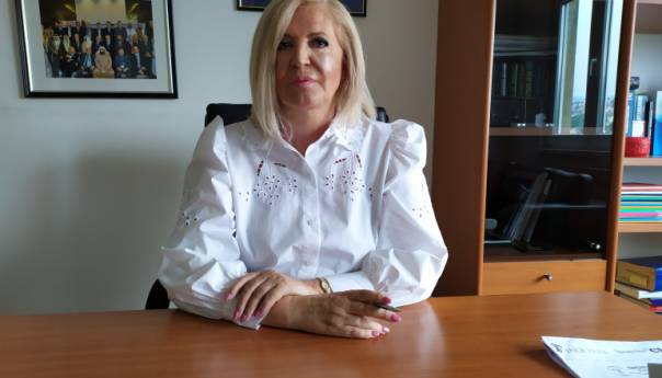 Vidović: Zaslužena kazna Mladiću, najodgovorniji je za teške zločine u BiH