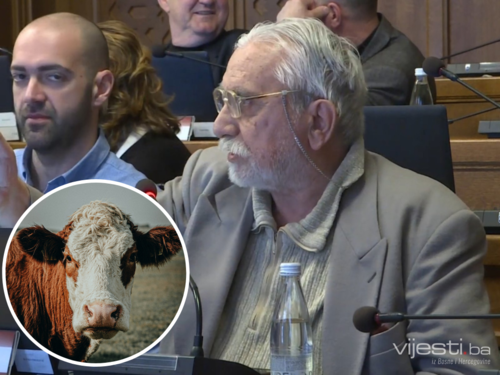 Vijećnik NS-a predložio podizanje spomenika kravi u Sarajevu