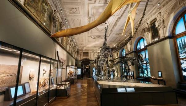 Virtuelni obilazak kulturnih znamenitosti Beča