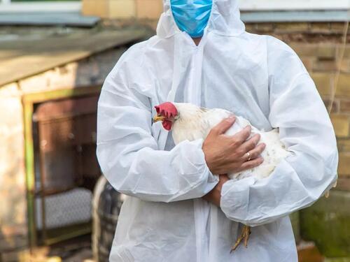 Virus ptičje gripe uzrokovao prvu smrt: Zaraženi preminuo u SAD