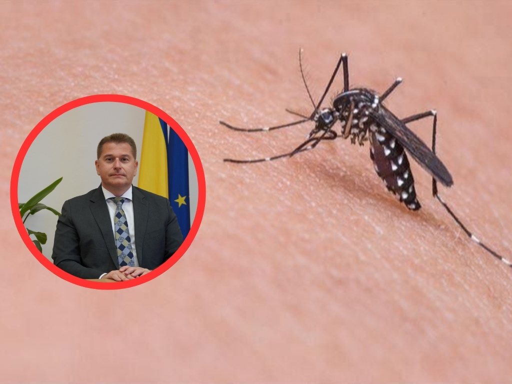 Virus Zapadnog Nila hara regijom: Imaju li bh. građani razloga za paniku?