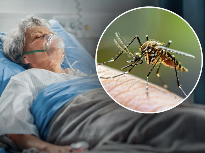 Virus Zapadnog Nila u više od 10 zemalja: Zaraženih ima i u Srbiji
