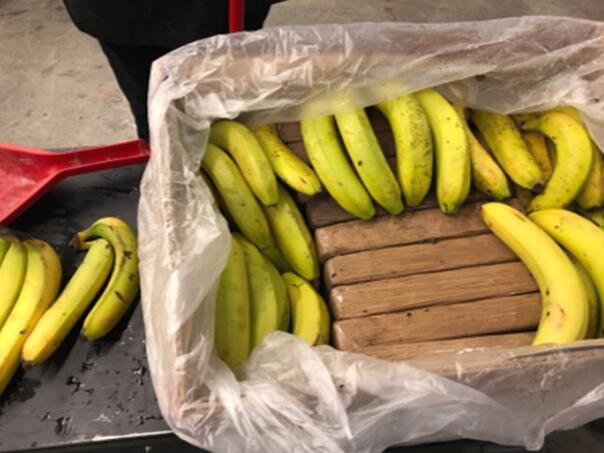 Više od 40 kg kokaina pronađeno u isporukama banana u francuskim supermarketima