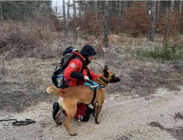 Više od stotinu ljudi uključeno u potragu za pastirom Mujom Cakićem