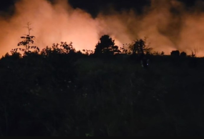 Više podgoričkih naselja bez struje zbog požara, ima uhapšenih